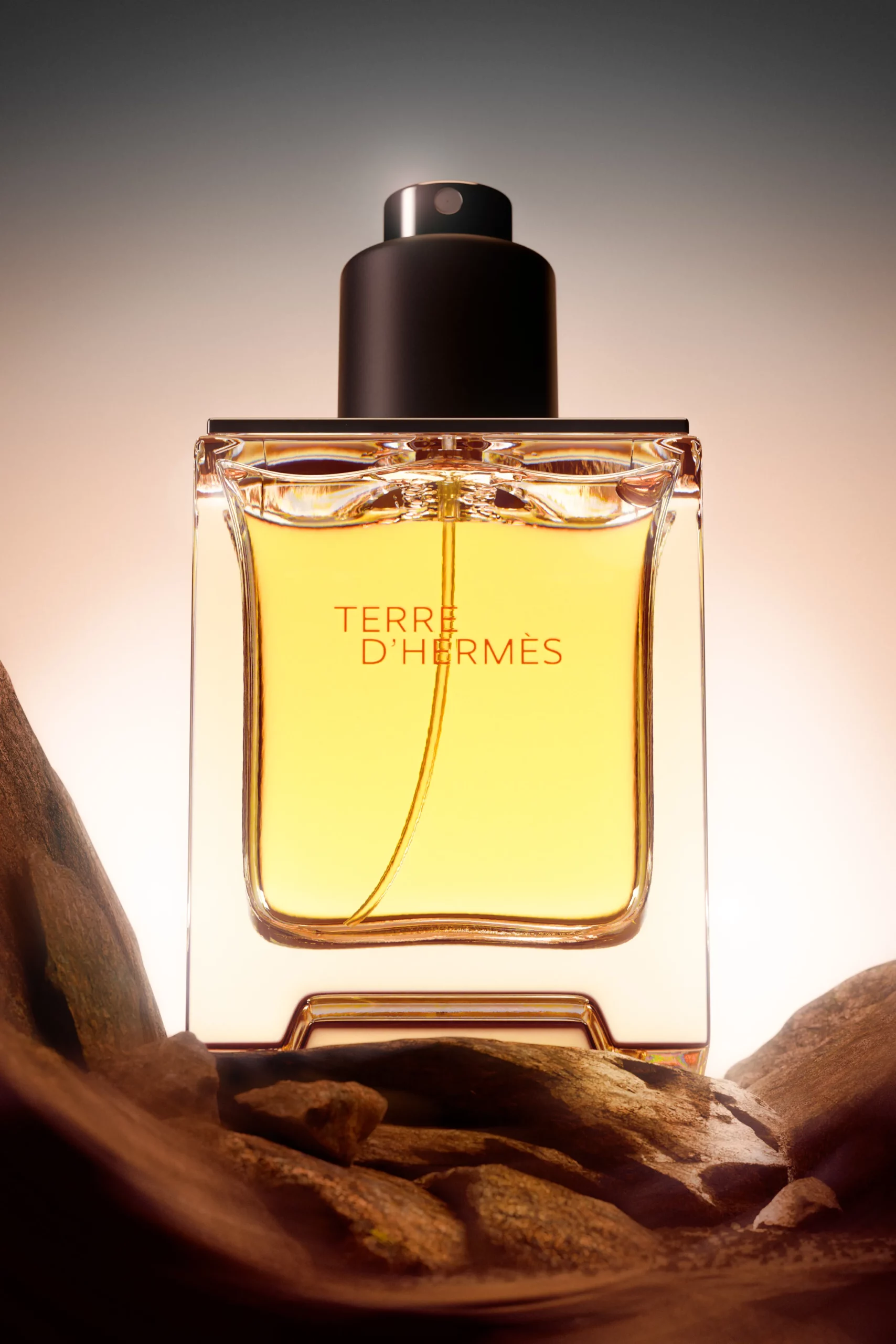 Packshot of Terre d'Hermès perfume