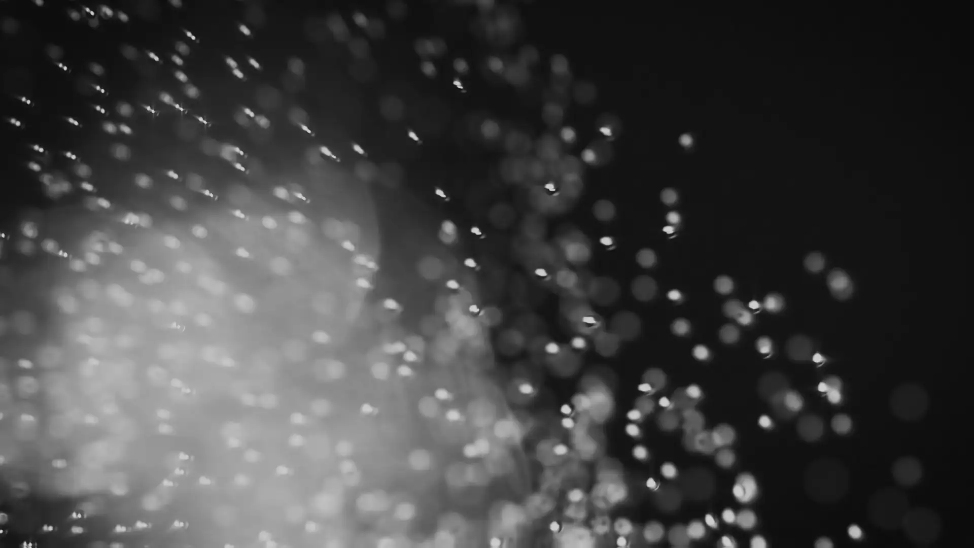 Chanel: Sparks